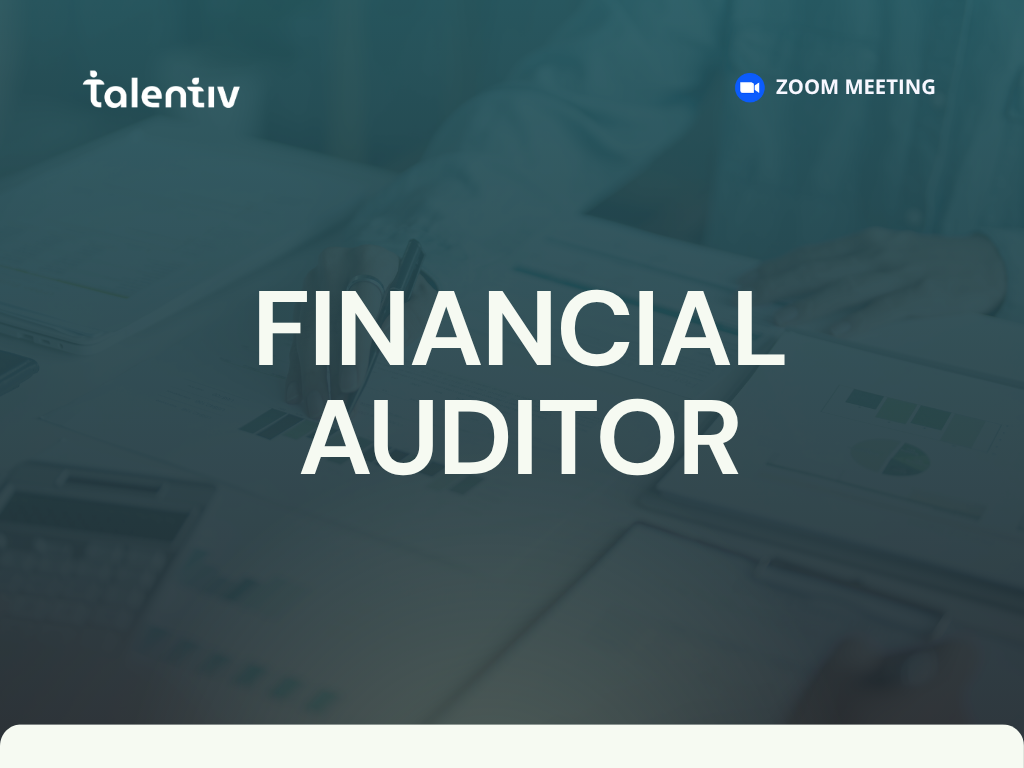 financial auditor
